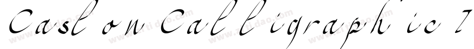 Caslon Calligraphic Initials字体转换